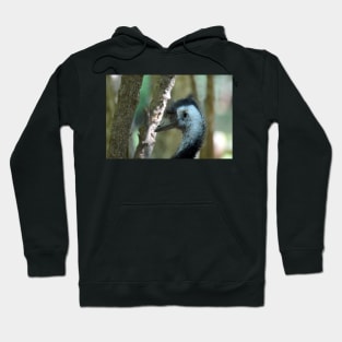 Emu Hoodie